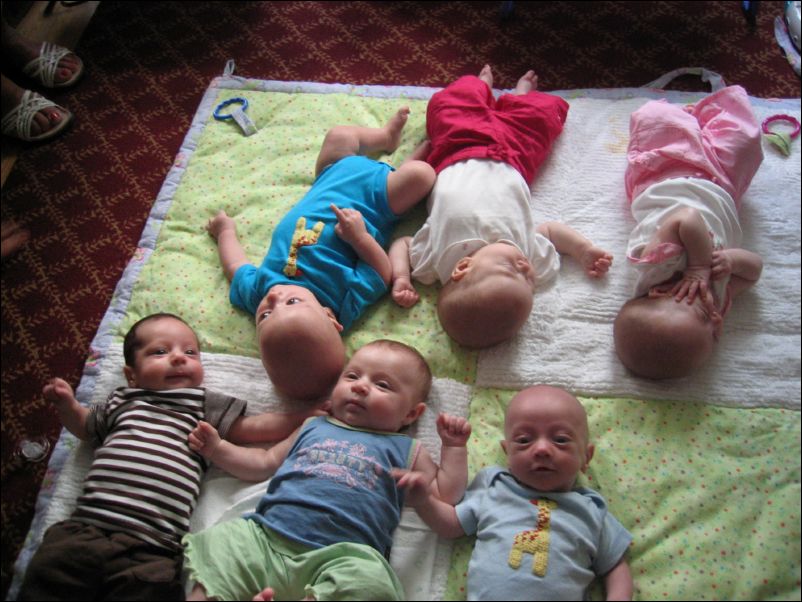 Playdate 6-pack